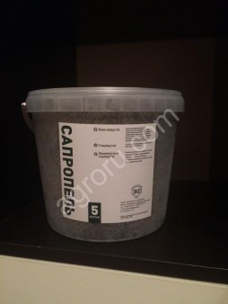 Сапропель