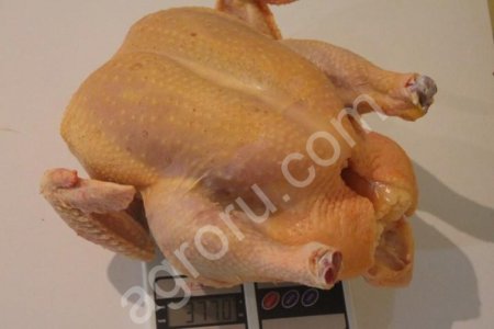 Мясо домашнего бройлера