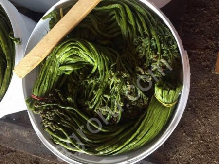 Папоротник Орляк(соленый)