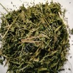 Крапива, лист