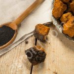 Чага березовая