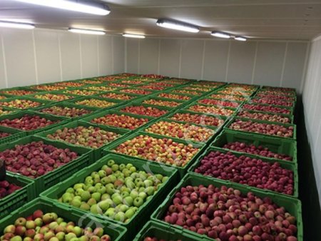 Яблоки оптом сортовое