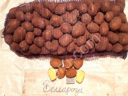 крупный картофель