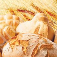 Улучшитель предназначен для муки из зерна поврежденного клопом-черепашкой