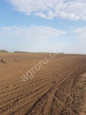 Земля в Тульской области от собственника