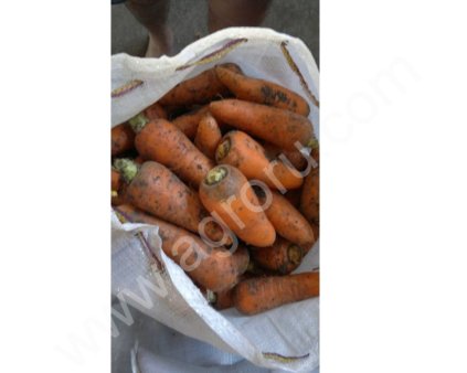 Морковь очень хорошего качества и вкуса
