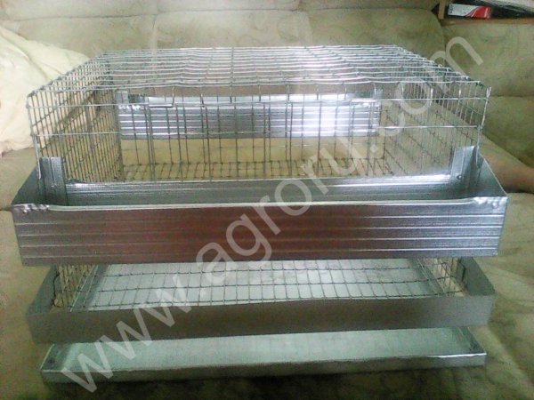 Клетки для перепелов