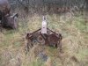 Плуг лесной ПКЛ-70