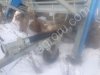 Дождевальные машины Окмис б/у