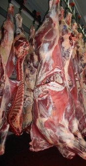 Говядина охлажденная 1  (бычки с вырезкой)