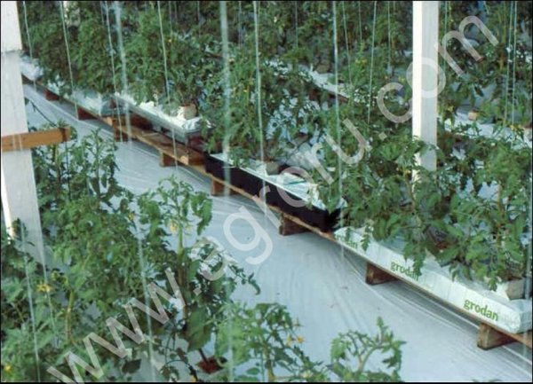 Пленка мульчирующая двухцветная