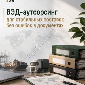 ВЭД-аутсорсинг для стабильных поставок без ошибок в документах