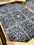 Голубика свежая от производителя