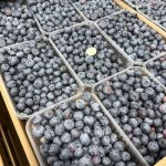 Голубика свежая от производителя