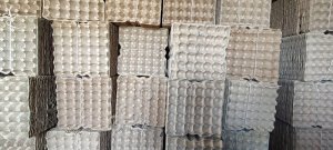 Бугорчатая прокладка для яиц