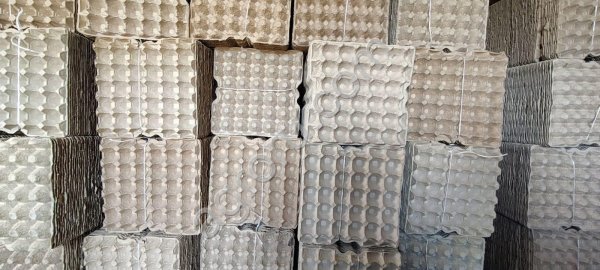 Бугорчатая прокладка для яиц