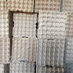 Бугорчатая прокладка для яиц