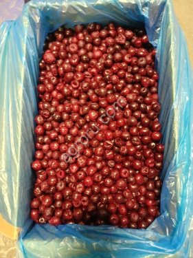 Вишня без косточки шоковая заморозка.