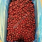 Вишня без косточки шоковая заморозка.
