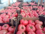Томаты розовые, красные