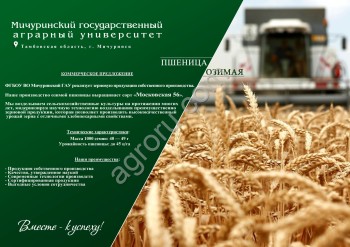 Пшеница Московская 56