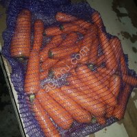 Морковь