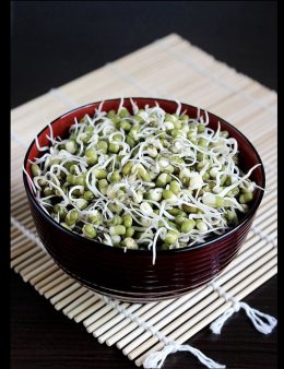 замороженные ростки проростки бобы маш мунг