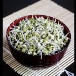 замороженные ростки проростки бобы маш мунг