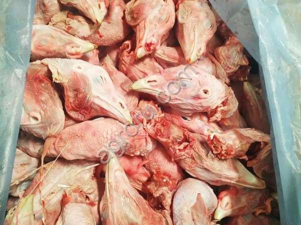 Головы индейки