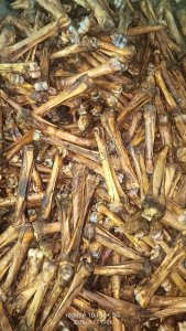 Лакомство для собак