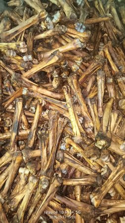 Лакомство для собак