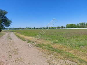 коммерческая земля площадью 3 Га.