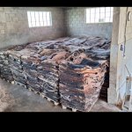 Шкуры КРС БЫК КОРОВА