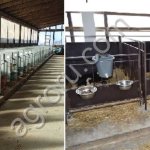 Боксы для телят из ПВХ, ламинированной фанеры