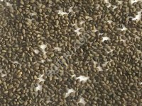 Семена горчицы, белая (сорт рапсодия)