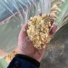 Опилки, Стружка (хвойные) - в брикетах (опт от производителя) - подстилка для с/х предприятий с ДОСТАВКОЙ в ваш регион.