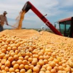 Соя экструдированная полножирная 37-39%