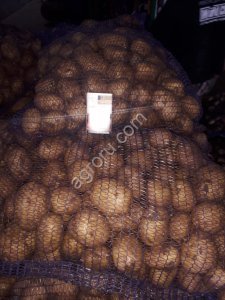 Картофель оптом