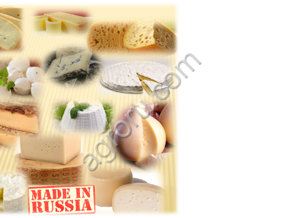 Семинар по производству сыров
