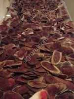 Пантогематоген