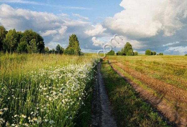 Участок 780 га