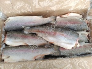 Форель ПБГ 1,4-1,8 Турция