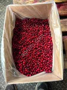 Клюква чищенная шоковая заморозка 2025г