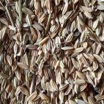 Рисовые отходы от производителя