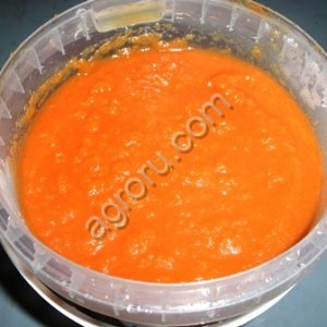 Линия производства морковного пюре и сока