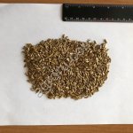 Расторопша