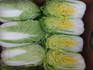 Пекинская капуста