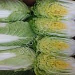 Пекинская капуста