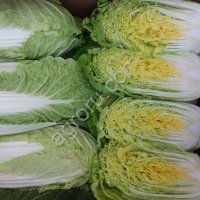 Пекинская капуста