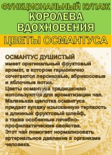 Функциональный купаж «Королева Вдохновения». Зелёный чай №95 и цветы Османтуса